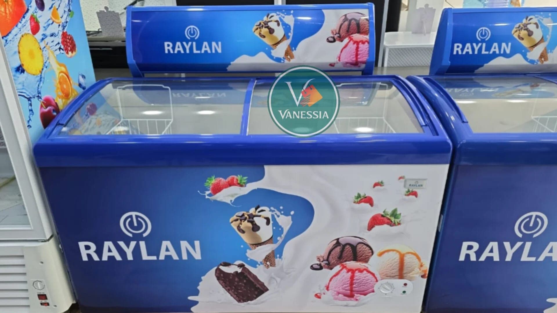 Congélateur Présentoir Marque Raylan 328L